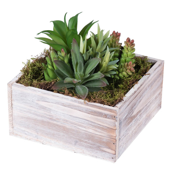 7" Succulent Arrangement in Wood Planter