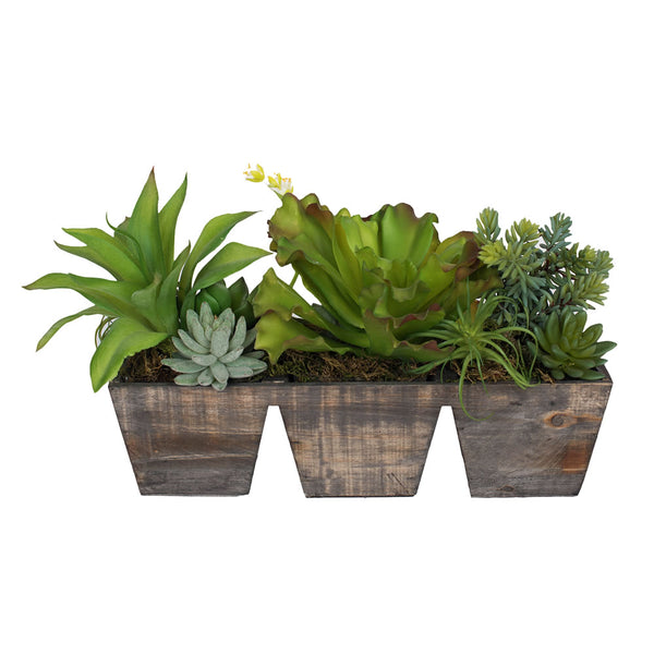 8.5" Succulents in Wood Planter