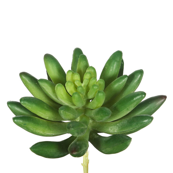 4" Cactus-Green (Pk/6)