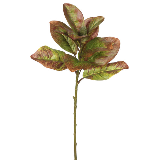 31"Single Magnolia Leaves-Autumn (Pk/3)