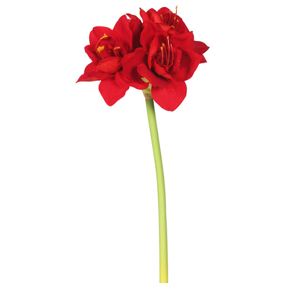 28" Red Single Velvet Amaryllis 3/pk