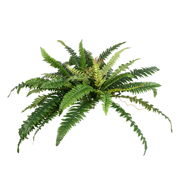 23" Fern Bush Spray