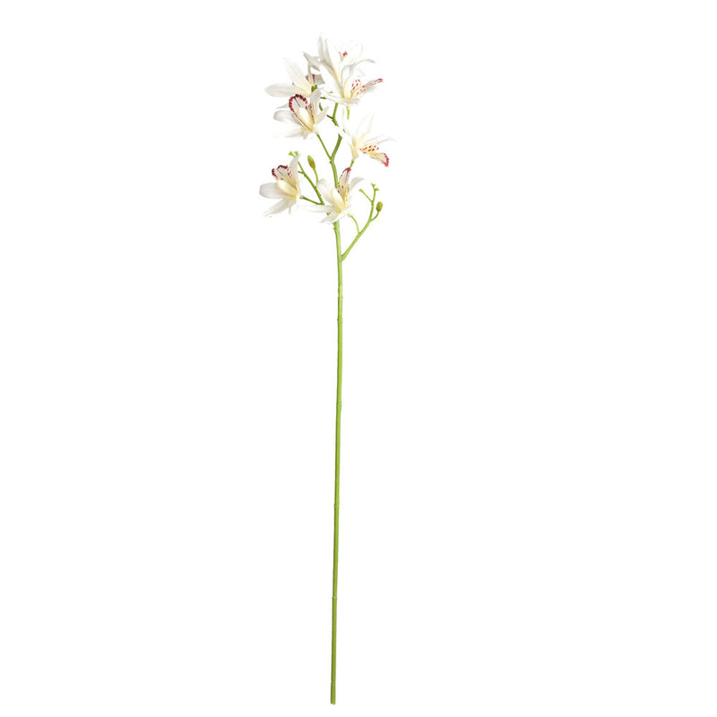 32" Orchid Stem