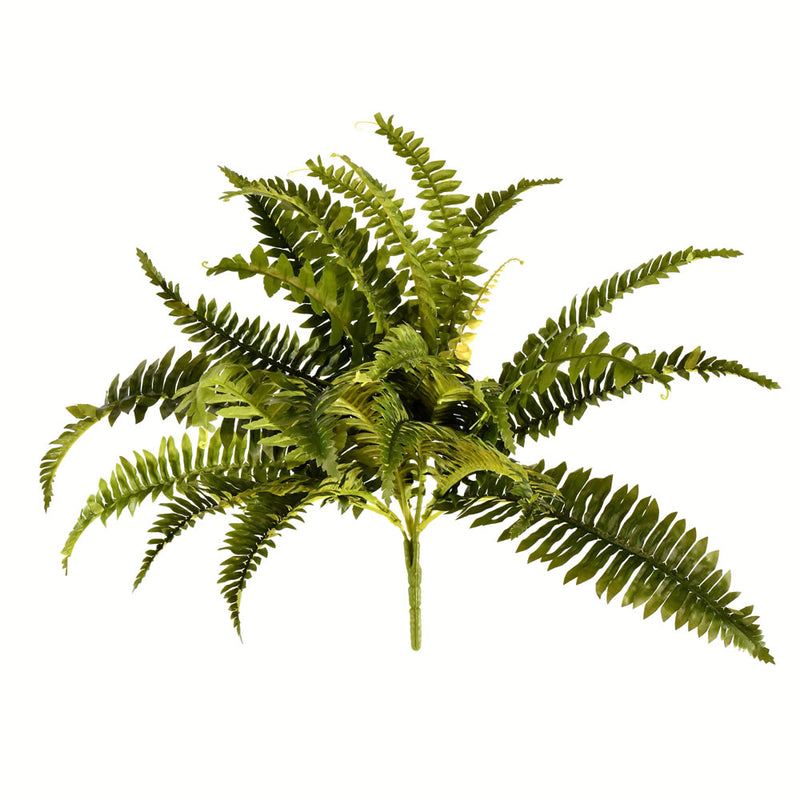 19" Green Boston Fern Bush 24 Lvs Pk/3