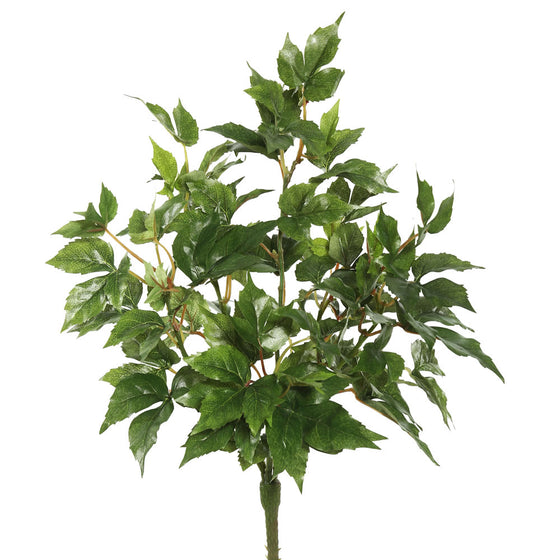 20" Maple Ivy Bush W/66 Lvs-Green