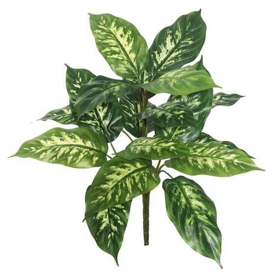 22" Dieffenbachia Plant 18 Lvs 2/Pk