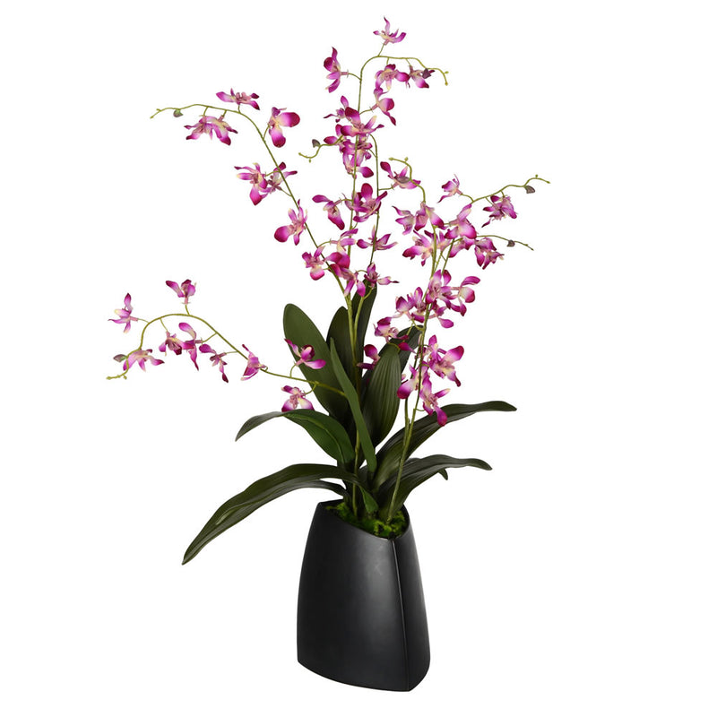 29" Mini Purple Orchid in Ceramic Pot