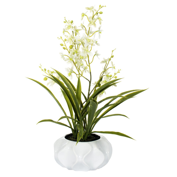 Orchid Floral Arrangement