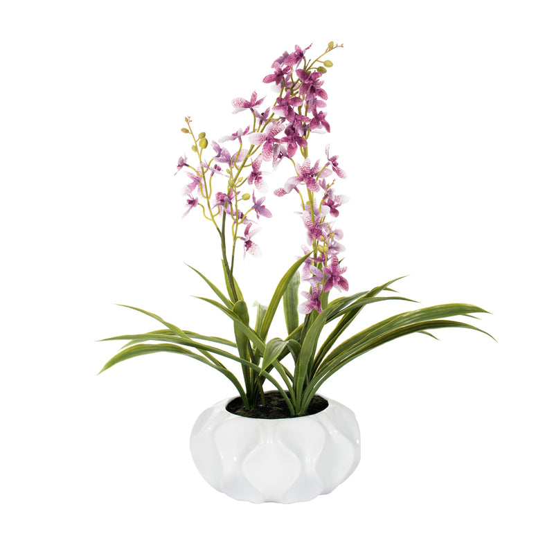 Orchid Floral Arrangement