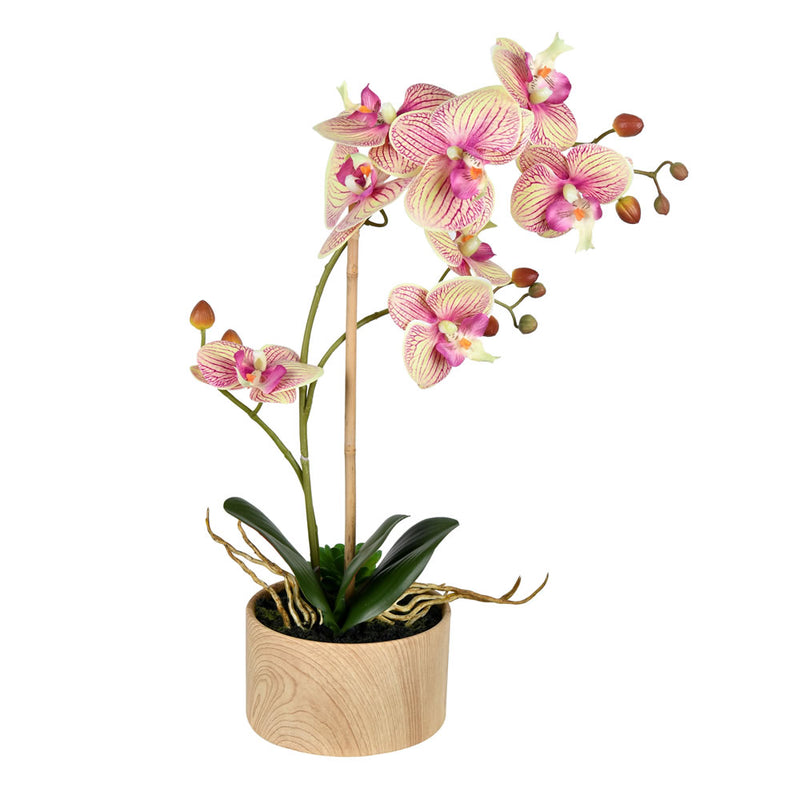 Orchid Floral Arrangement