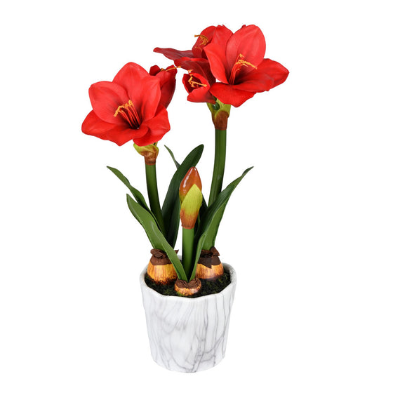 22" Red Amaryllis Arrangement