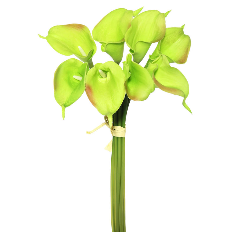 Calla Lilies