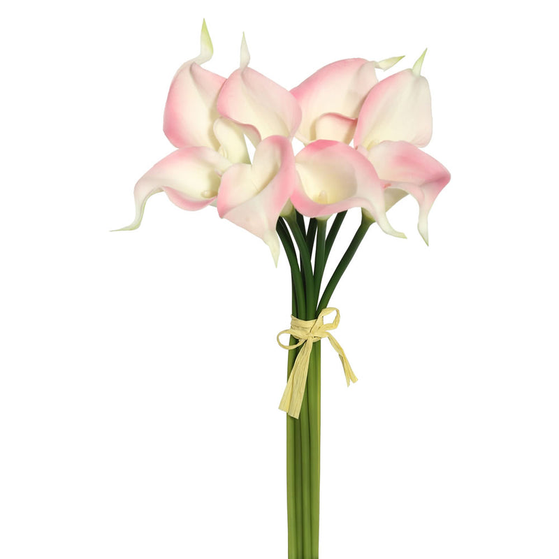 Calla Lilies