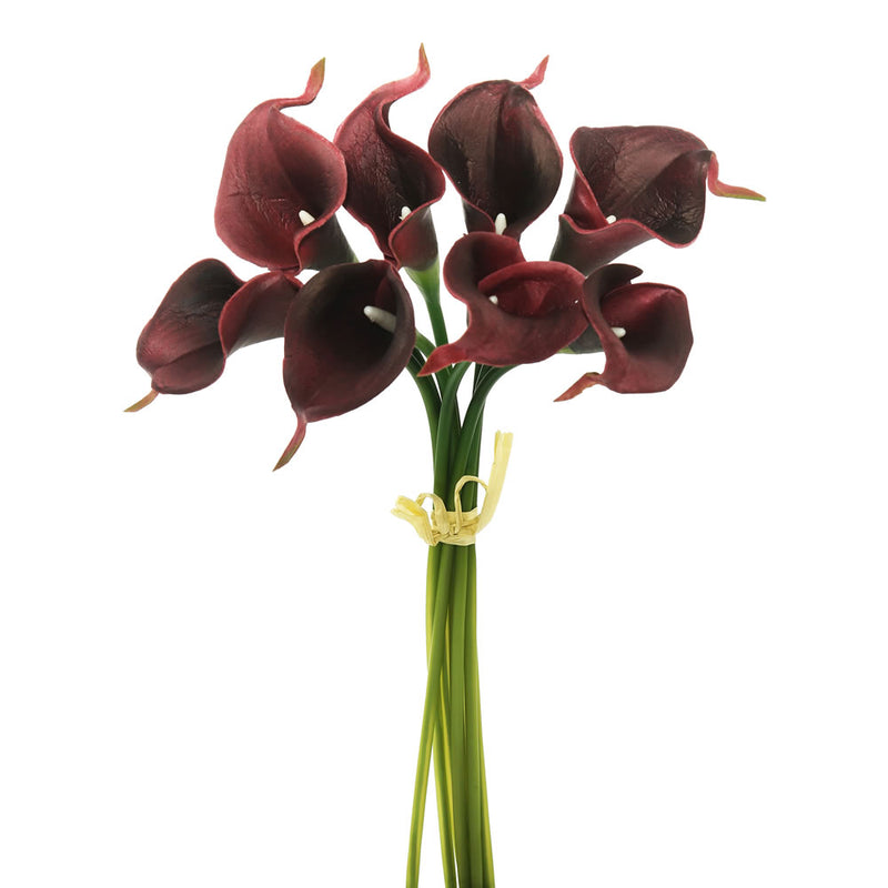 Calla Lilies