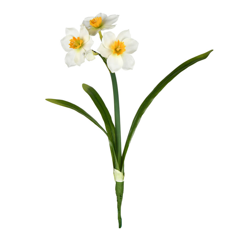 Narcissus Spray