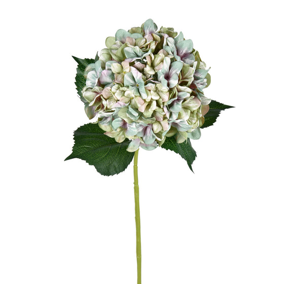 Hydrangea Spray