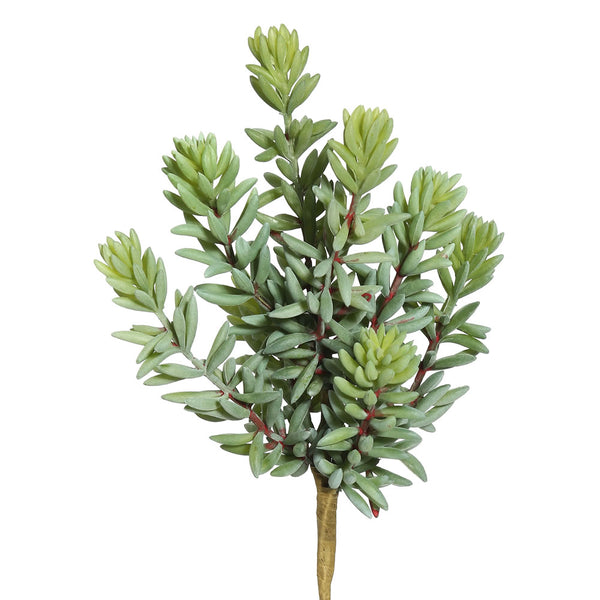 8" Sedum Pick (PK/3)