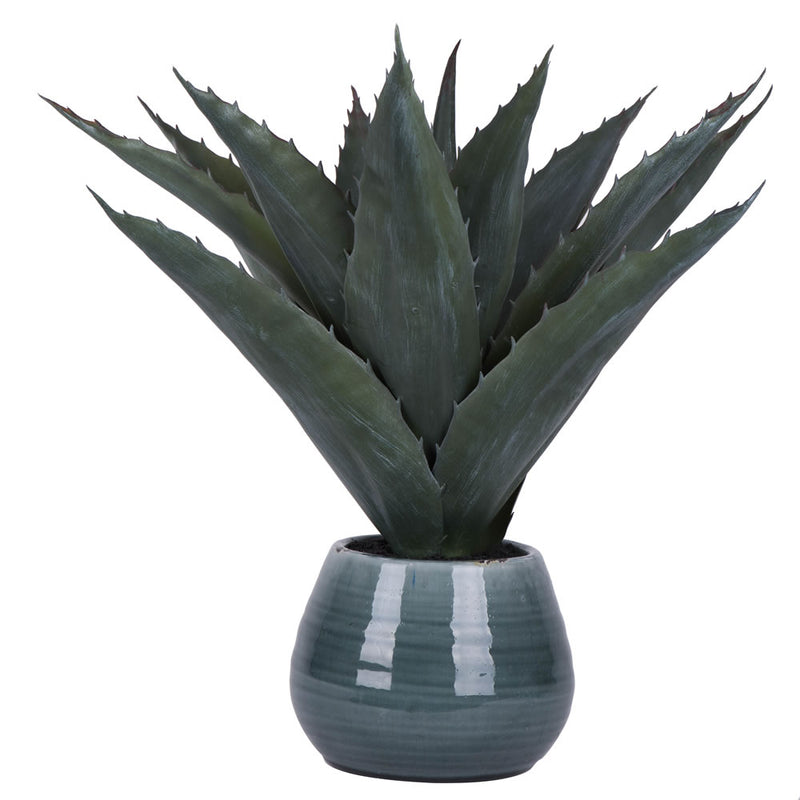 18" Green Succulent in Ceramic Pot