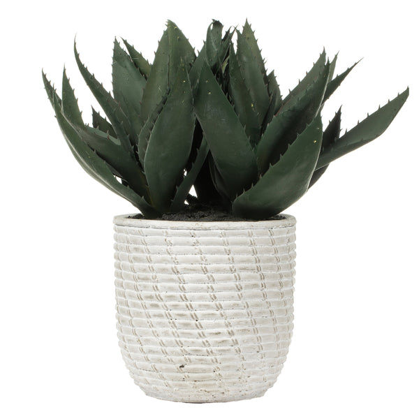 14" Green Succulent in Concrete Gray Pot