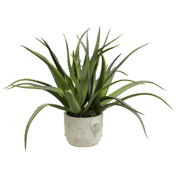 19.5" Green Aloe in Round Concrete Pot