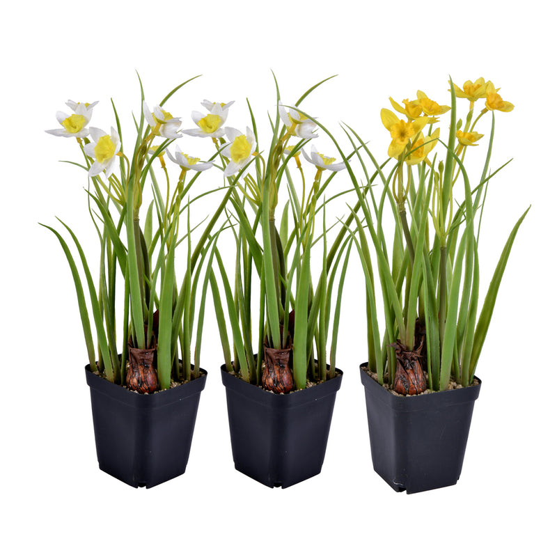 12" White/Yellow Daffodil 3/set