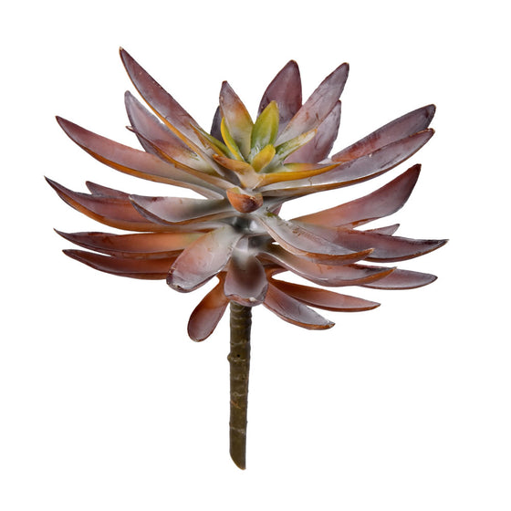 8.5" Green Succulent Pick Pk/3