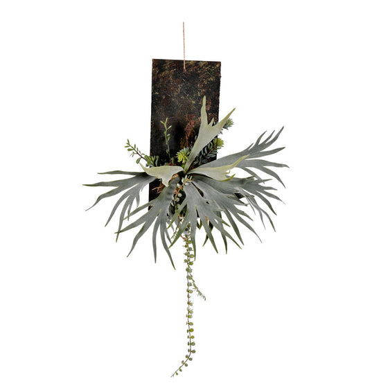 26" Green Staghorn Fern on Wooden Plaque