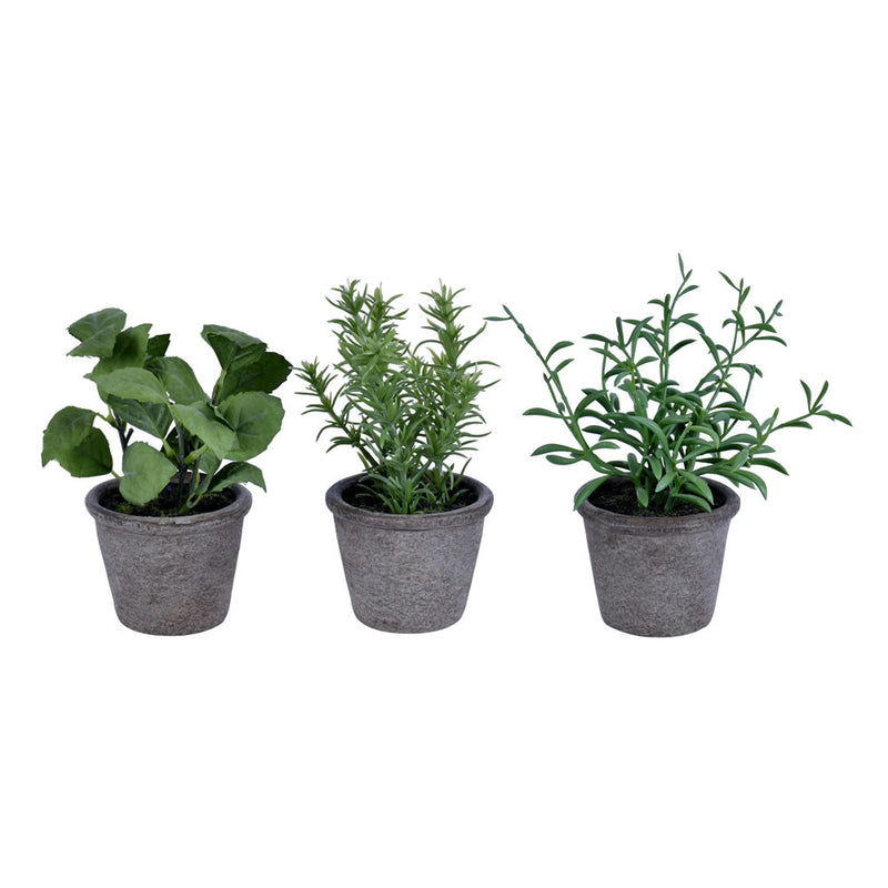 7" Green Potted Herbs Assort Set/3