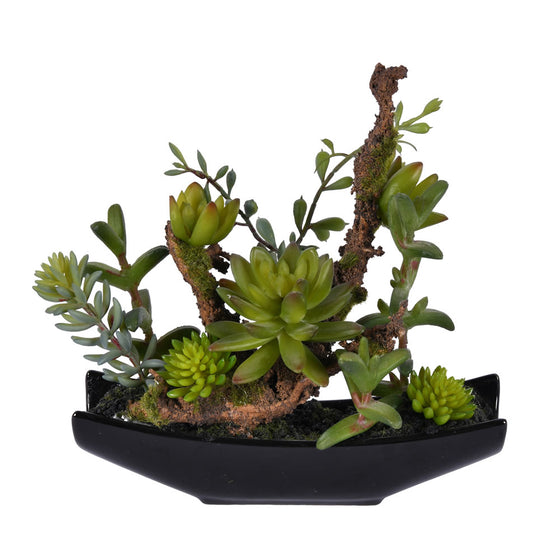 8" Green Mixed Succulent in Ceramic Pot