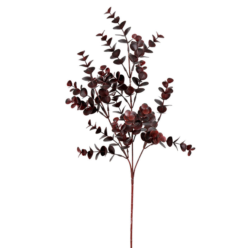 27" Burgundy Eucalyptus Bush Pk/4