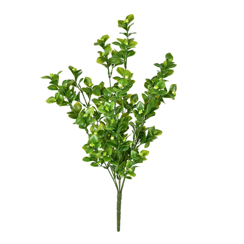 18" Green Boxwood Bush UV