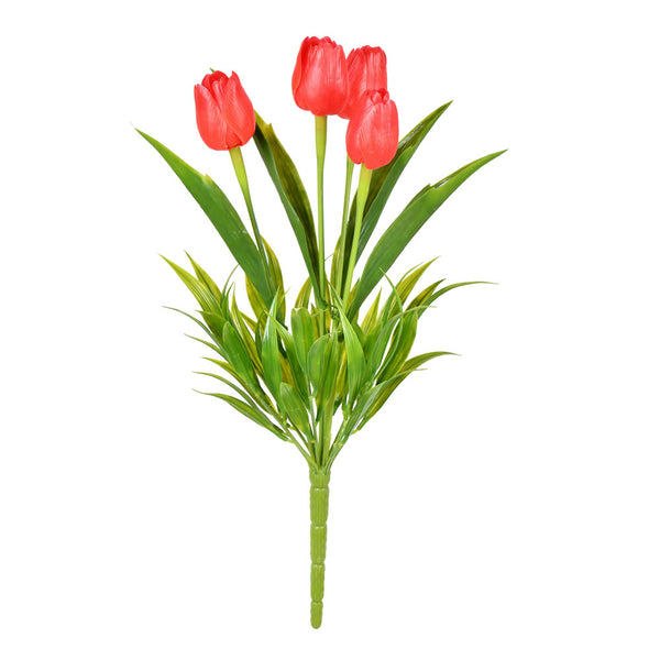 Potted Tulip