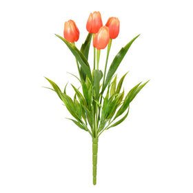 Potted Tulip