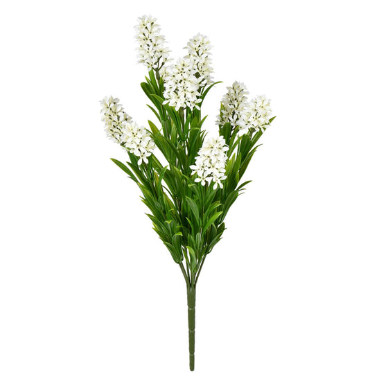 16" White Blazing Star Bush UV