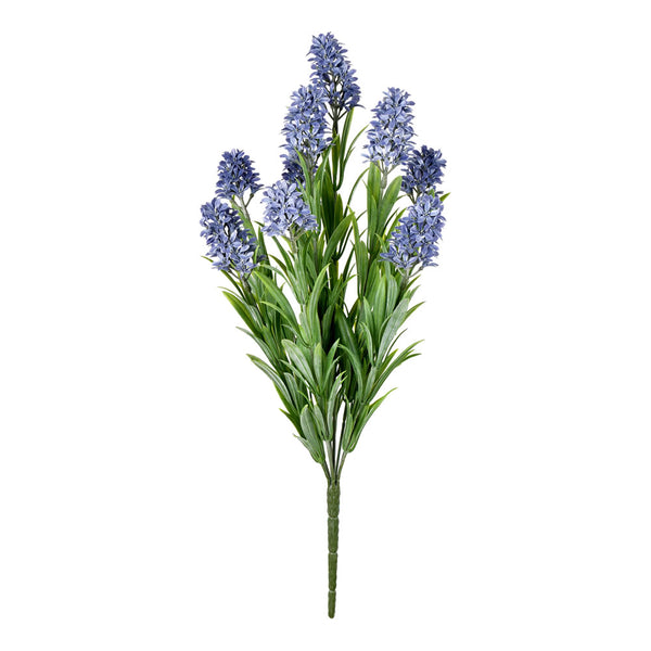 16" Blue Blazing Star Bush UV