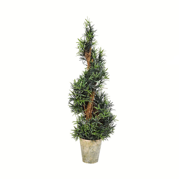 Rosemary Spiral