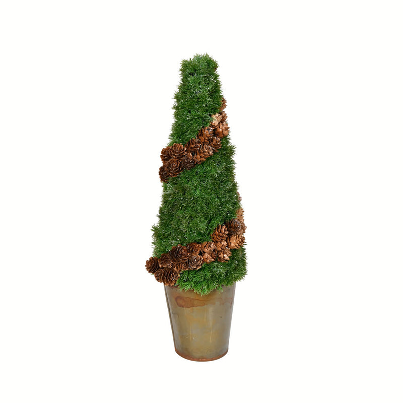 Potted Cedar Tree