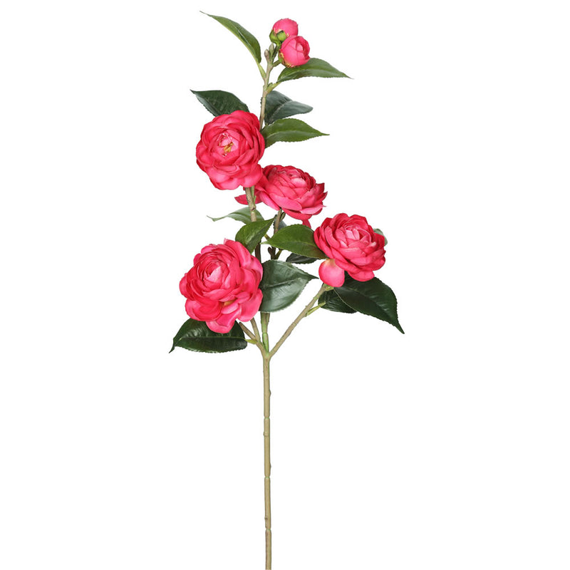 Camellia Spray