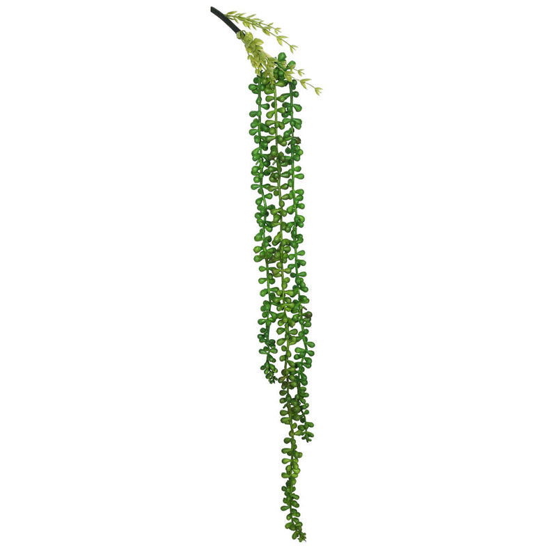 String of Pearls Stem