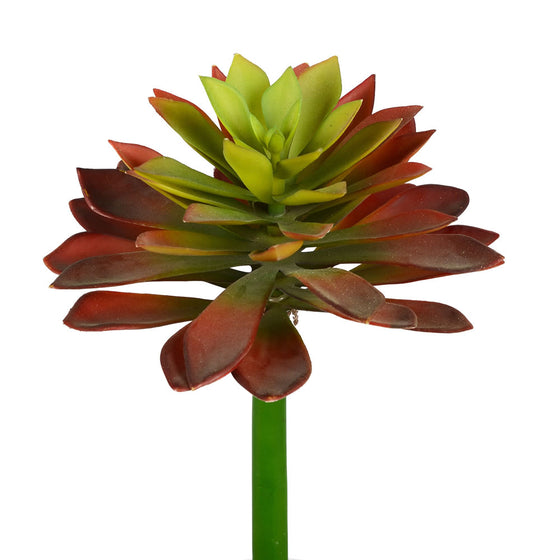 10" Red/Green Succulent Stem 2/Pk