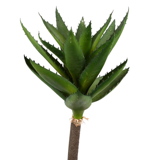 14" Green Succulent Stem 2/Pk