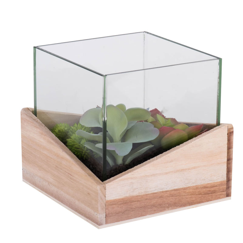 6Lx6Wx6H" Asst Succulents in Glass Wood