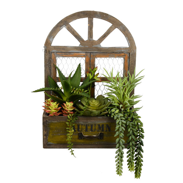 Asst Succulents in Hanging Wood Box