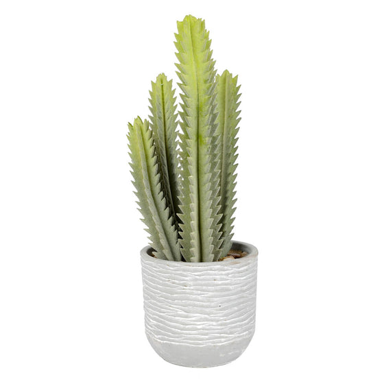 15.5" Green Cactus in Concrete Pot