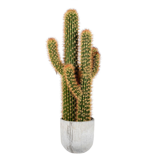 36" Green/Yellow Cactus in Concrete Pot