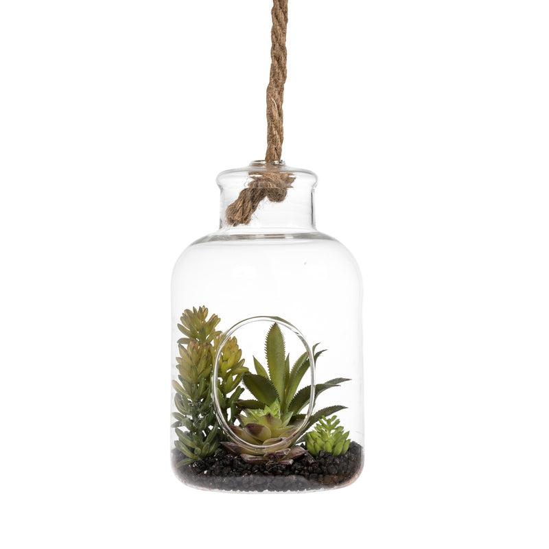 9" Green Asst Succulents in Glass Jar