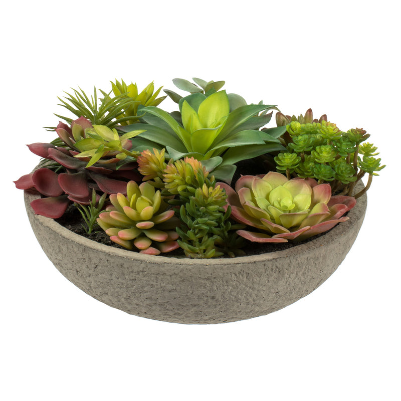 7" Mixed Succulent in Concrete Pot