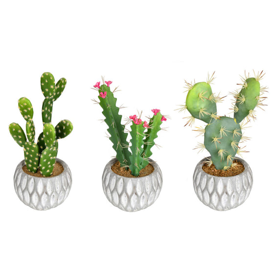 10" Green Potted Cactus (Set/3 Asst)