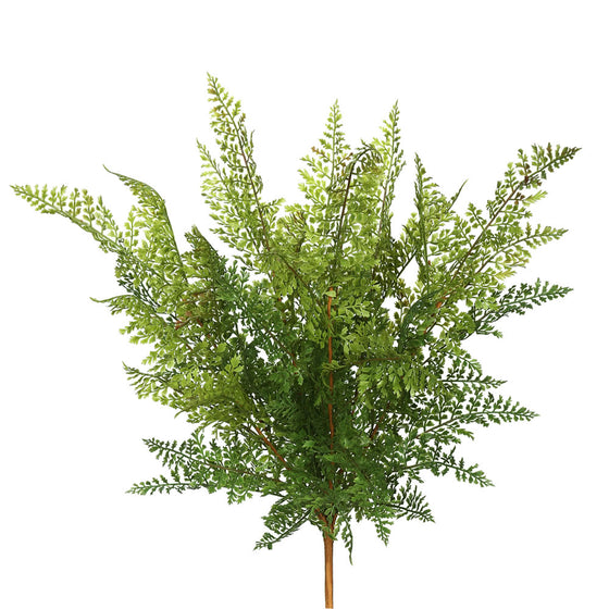 26" Green Fern Bush 2/pk