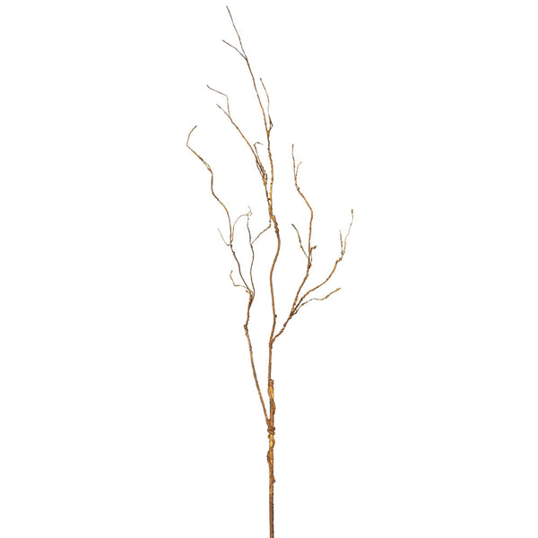 Twig Branch